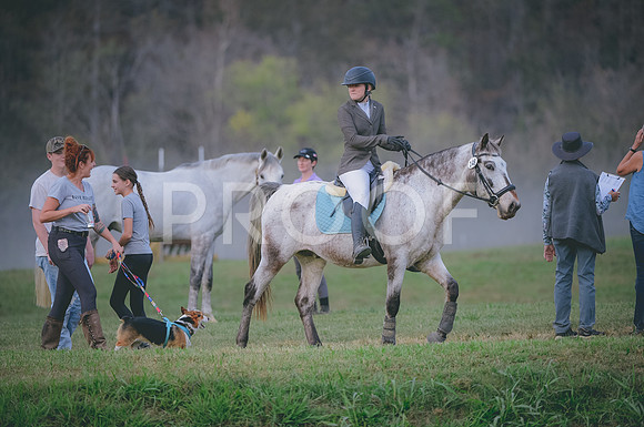 JJS_2741