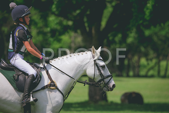 RWP_4421