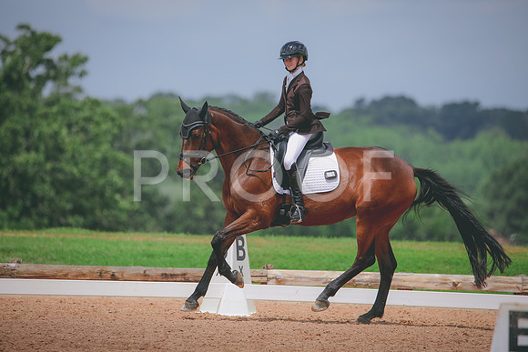 RWP_4517