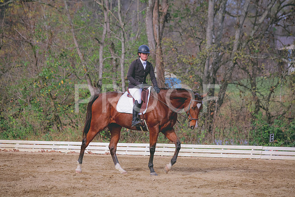 IMG_6222