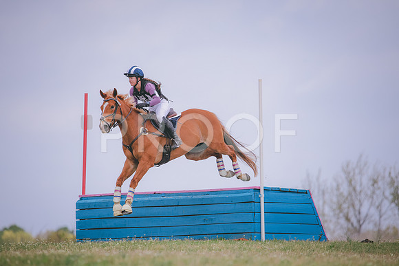 RWP_8834