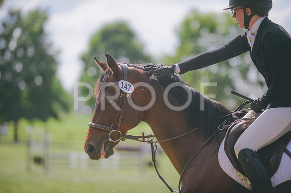 JJS_3779