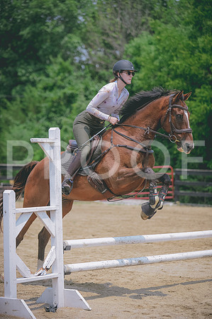 000_8255