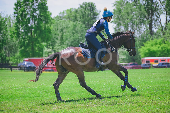 CRR_1538