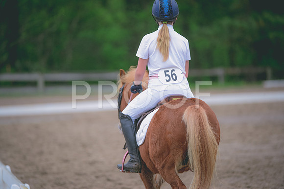 JJS_0686