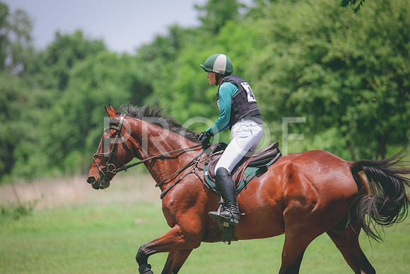 RWP_3232