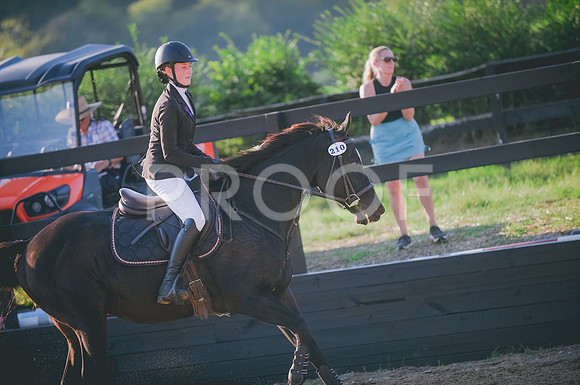 JJS_0482
