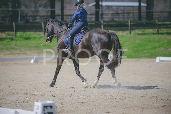 JJS_1741