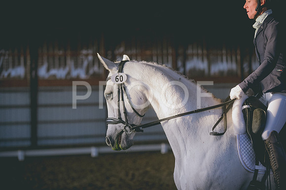 JJS_0341