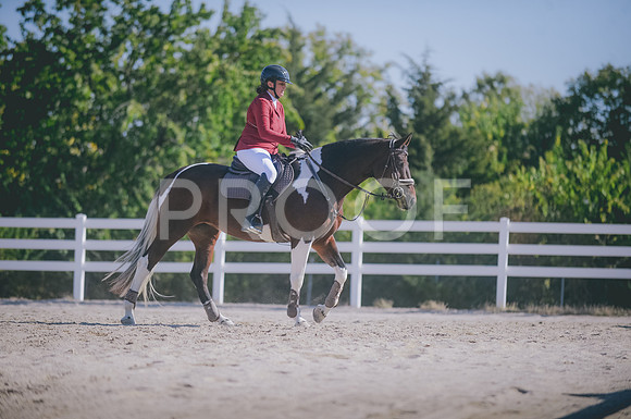 JJS_0114