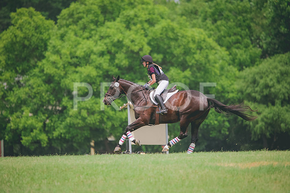 RWP_1297