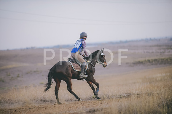 JJS_6372