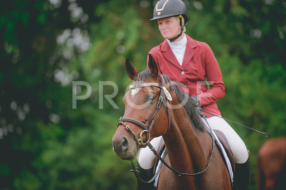 JJS_5291A