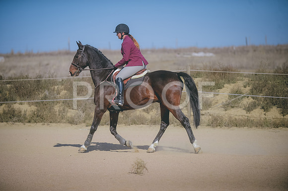 JJS_5552