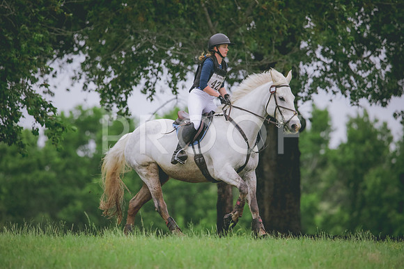 RWP_5528
