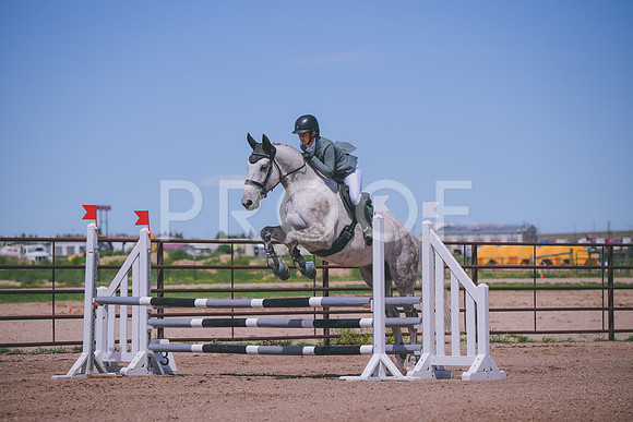 DSC_3532