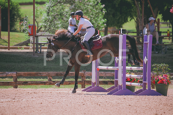RWP_5293