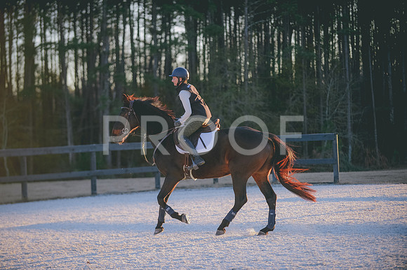 JJS_3336