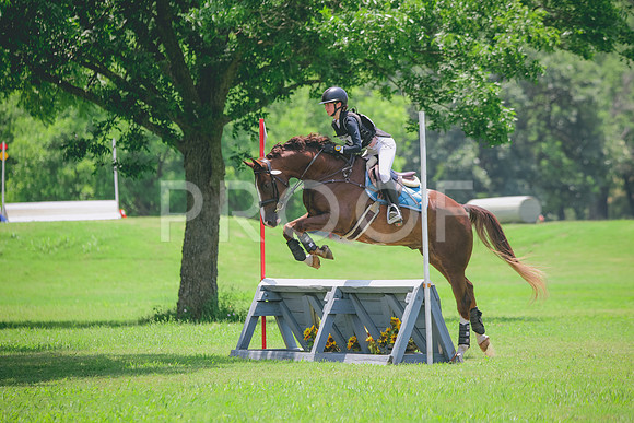 RWP_3289