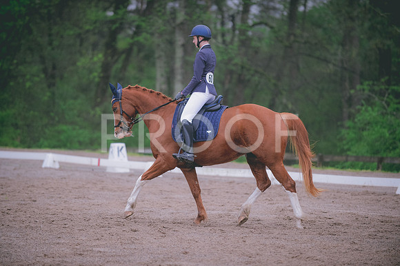 JJS_7580