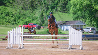 0N0A8124