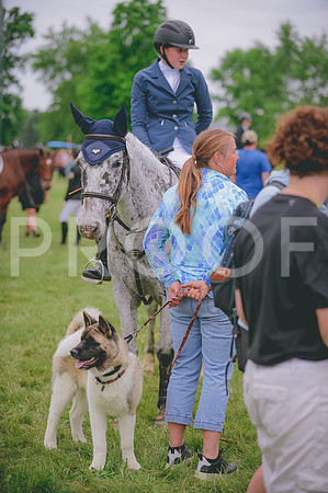 JJS_3961