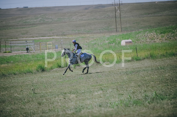 JJS_8630