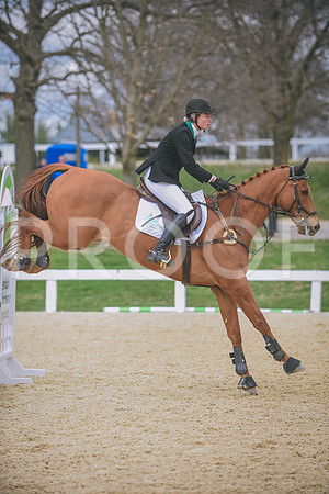 DSC_0094 copy