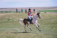 CDH_9311