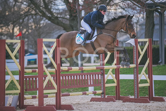 DSC_2138 copy