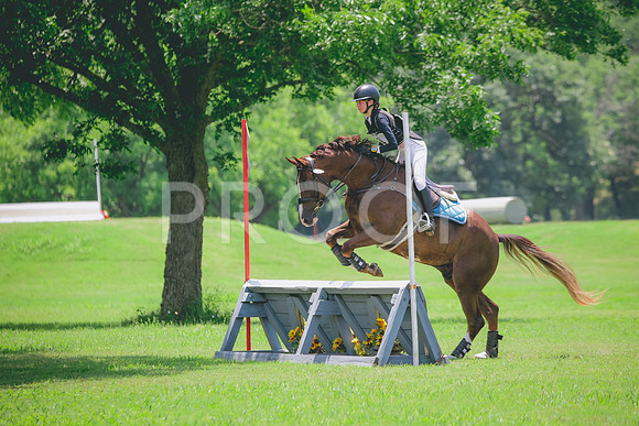 RWP_3287
