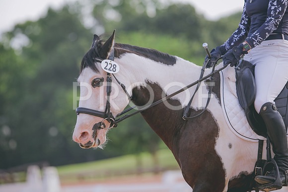 RWP_4206