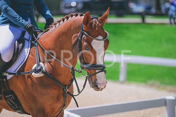 CRB_9449