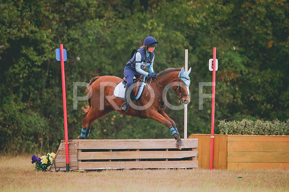 RWP_3619