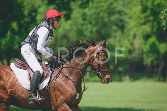 RWP_4647