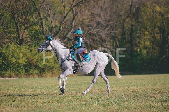 HLJ_5983