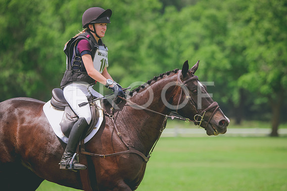 RWP_1353
