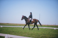 JJS_0927