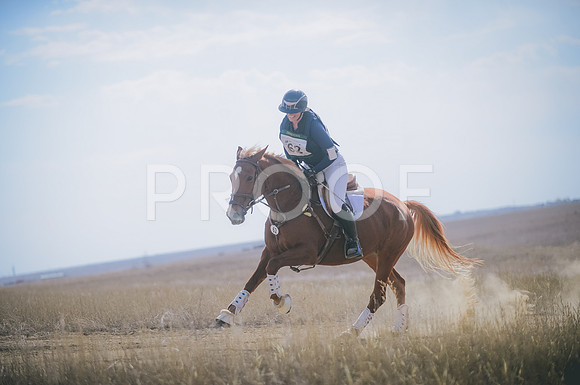 JJS_0288