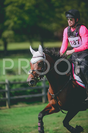 JJS_7823