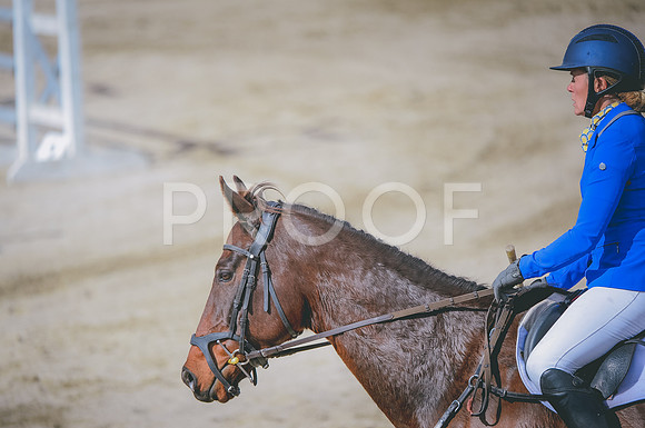 JJS_1707