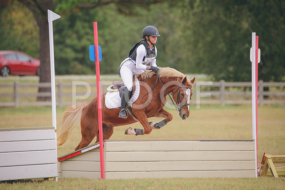 RWP_3586