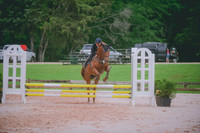 000_3151 copy