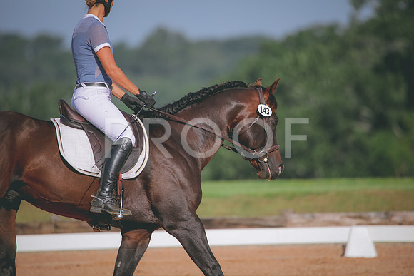 RWP_4592