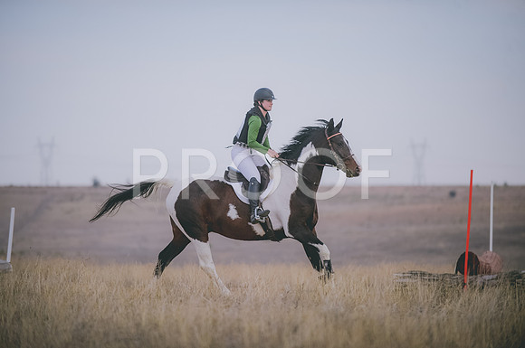 JJS_4214