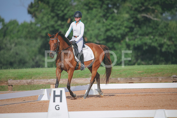 RWP_4460