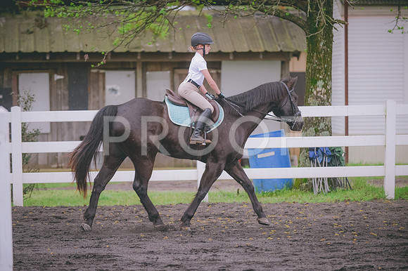 JJS_6592