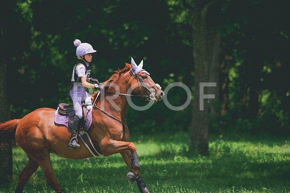 RWP_3725