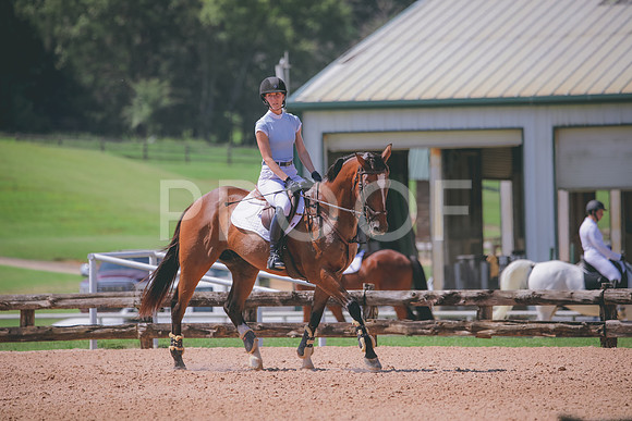 RWP_5096