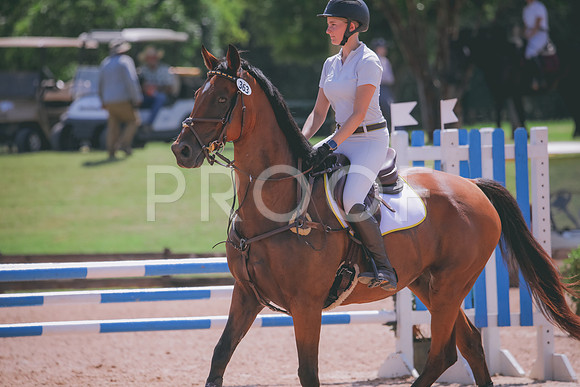 RWP_5262